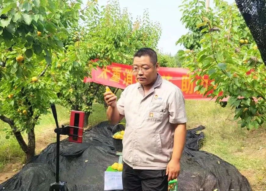 澳门十大网投平台